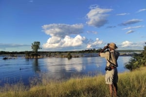 Victoria Falls: Zambezi National Park Game Drive + Transfer