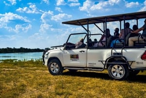 Victoria Falls: Zambezi National Park Game Drive