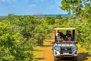 Victoria Falls: Zambezi National Park Game Drive