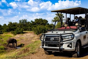 Victoria Falls: Zambezi National Park Game Drive