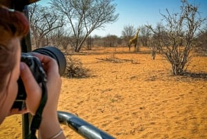 Chutes Victoria : Safari dans le parc national du Zambèze