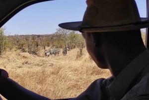 Victoria Falls: Zambezi National Park Safari