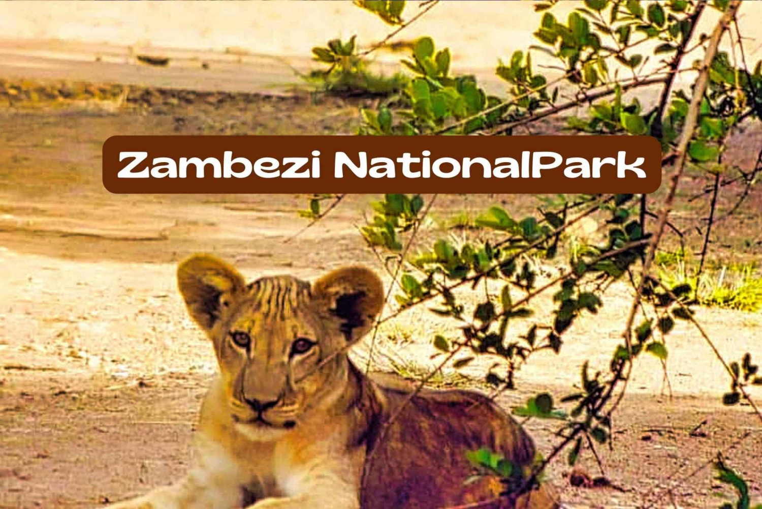 Victoria Falls: Zambezi National Park
