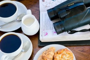 Victoria Falls: Zambezi River Birdwatching Cruise & Pickup