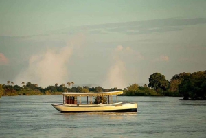 Victoria Falls: Zambezi River Birdwatching Cruise & Pickup