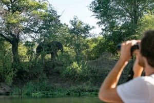 Victoria Falls: Zambezi River Birdwatching Cruise & Pickup