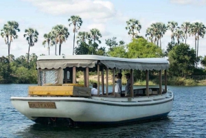 Victoria Falls: Zambezi River Birdwatching Cruise & Pickup
