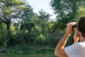 Wodospady Wiktorii: rejs po rzece Zambezi na pokładzie Ra-Ikane z napojami