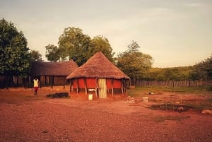 Victoria Falls: Zambezi River Rafting & Sunset Gorge Dinner