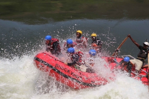 Victoria Falls: Zambezi River White Water Rafting Experience