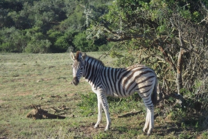 Victoria Falls Zimbabwe Hidden Gems Adventure