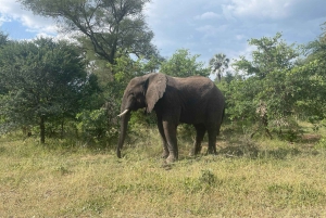 Victoria Falls Zimbabwe Hidden Gems Adventure