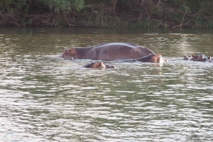 Wodospad Wiktorii Zimbabwe - przygoda z ukrytymi klejnotami