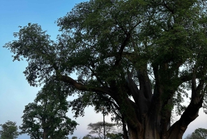 Wodospad Wiktorii Zimbabwe - przygoda z ukrytymi klejnotami