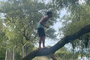 Wodospad Wiktorii Zimbabwe - przygoda z ukrytymi klejnotami