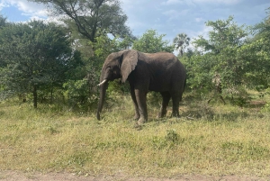 Wodospad Wiktorii Zimbabwe - przygoda z ukrytymi klejnotami