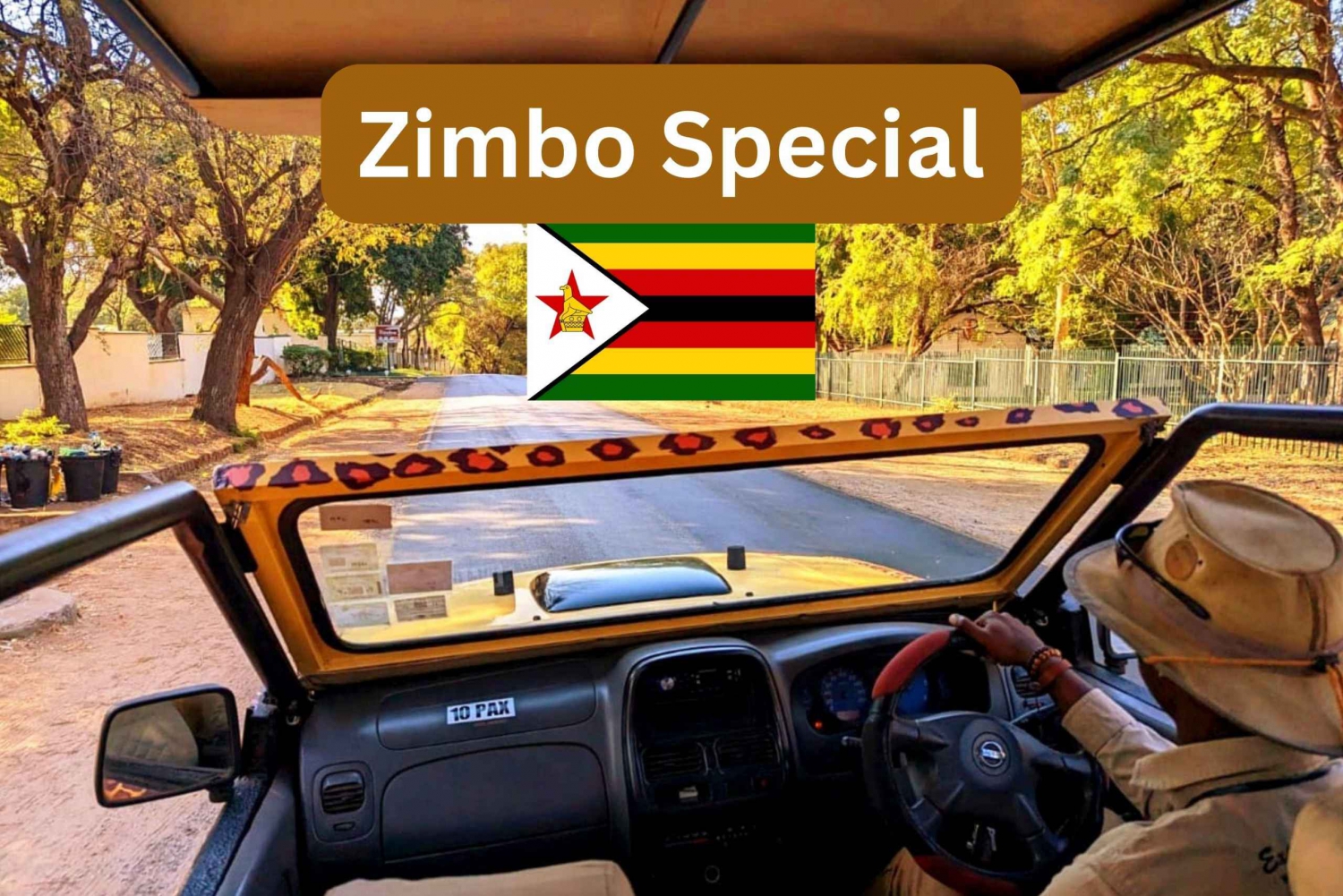 Victoria Falls: Zimbo Special 4x4 Victoria Falls Town Safari
