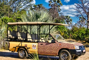 Sunset Safari and Walking tour to Bridge + view of Falls
