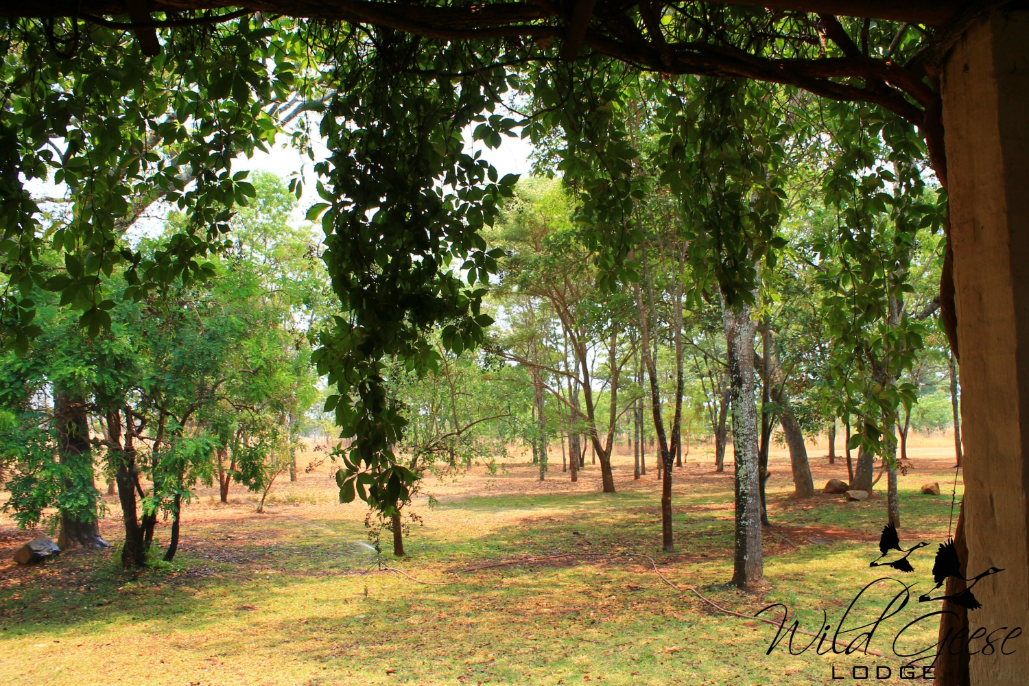 Wild Geese Lodge in Zimbabwe