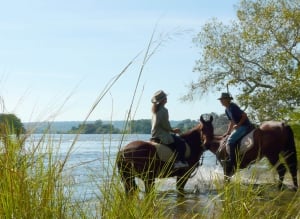 Wild Horizons Horse Back Safaris