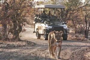 Zambezi National Park Game Drive AM /PM