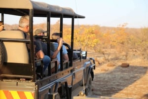 Zambezi National Park Game Drive in a Small Group