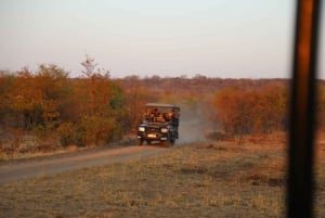 Zambezi National Park Game Drive in a Small Group