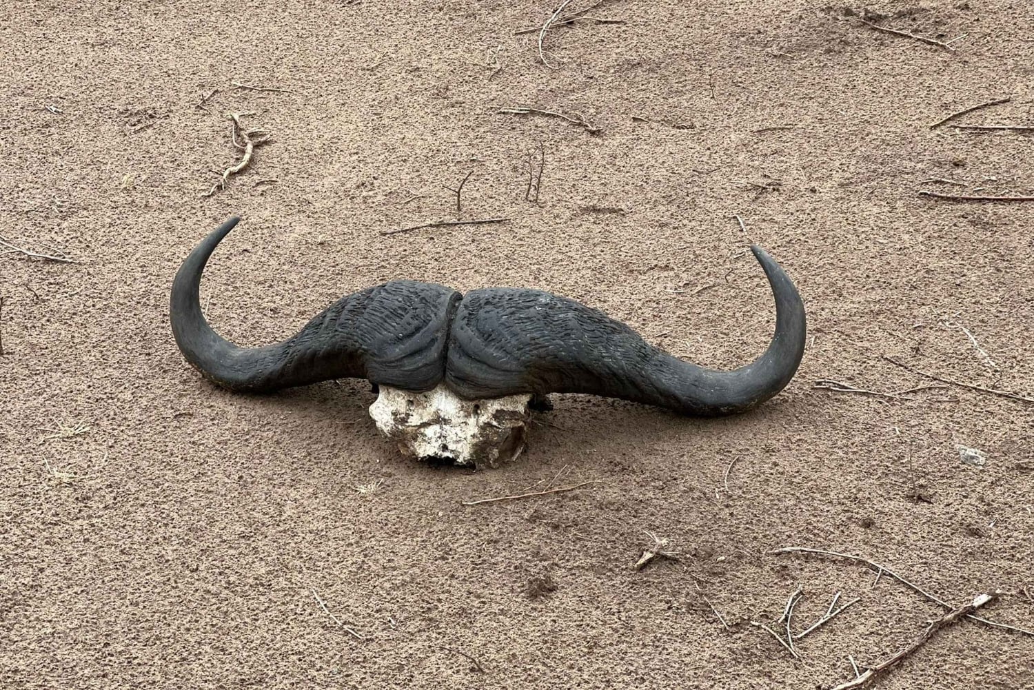 Passeio de carro no Parque Nacional do Zambeze