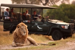 Zambezi National Park Game Drive