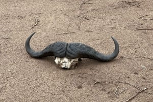 Passeio de carro no Parque Nacional do Zambeze