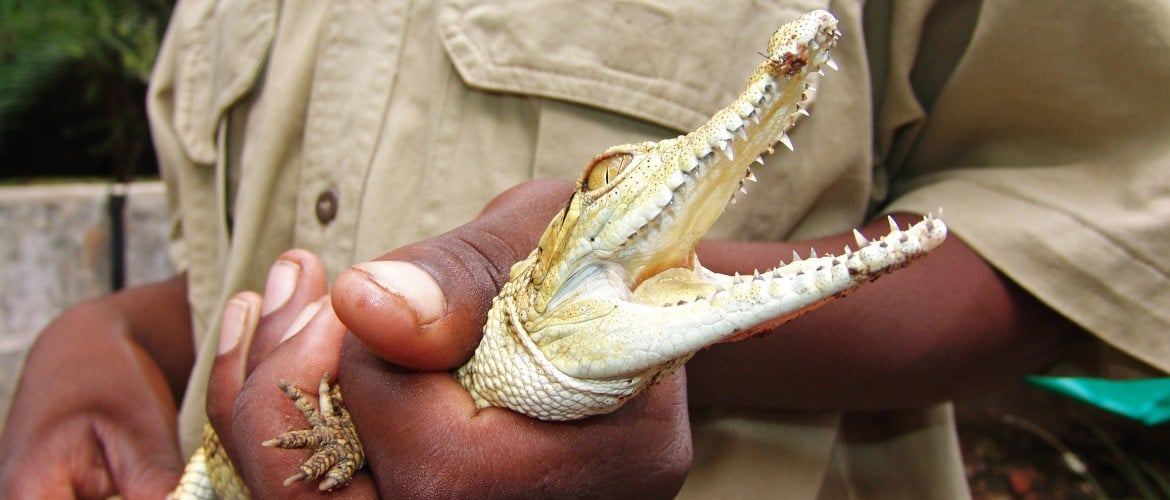 Zambezi Nature Sanctuary and Crocodile Ranch