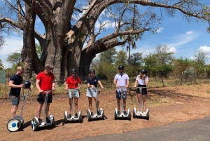 Visite en Segway du fleuve Zambèze avec boissons