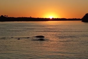 Zambezi Sunset Boat Cruise