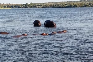 Zambezi Sunset Boat Cruise