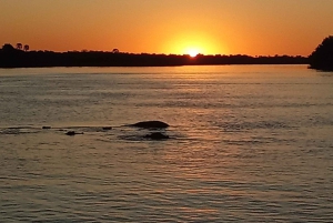 Båtcruise i solnedgangen i Zambezi