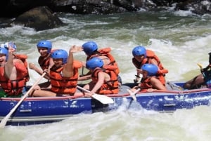 Zambezi Whitewater Rafting &White Rhino Walking Safari Combo