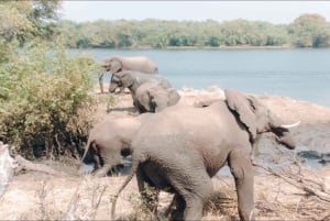 Zambezi Whitewater Rafting &White Rhino Walking Safari Combo