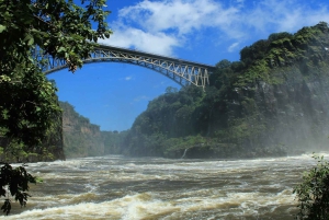 Zambezi Whitewater Rafting &White Rhino Walking Safari Combo