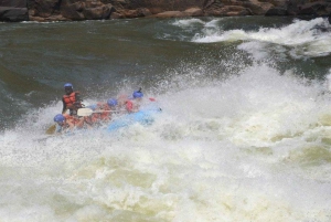 Zambezi Whitewater Rafting &White Rhino Walking Safari Combo