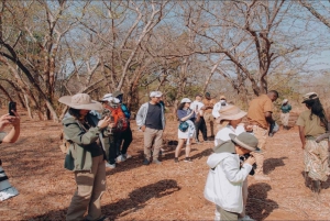 Zambezi Whitewater Rafting &White Rhino Walking Safari Combo