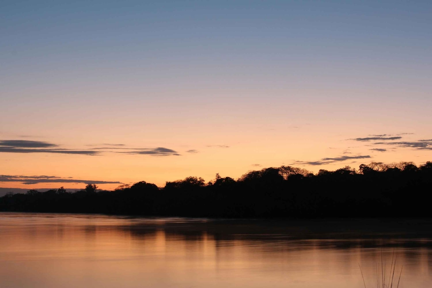 Zambia: safari a caballo de medio día por las cataratas Victoria y almuerzo