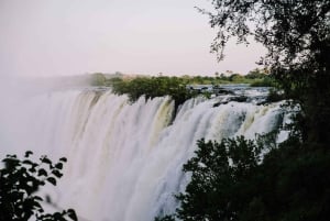 Zambia: safari a caballo de medio día por las cataratas Victoria y almuerzo