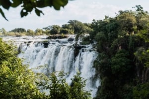 Zambia: safari a caballo de medio día por las cataratas Victoria y almuerzo