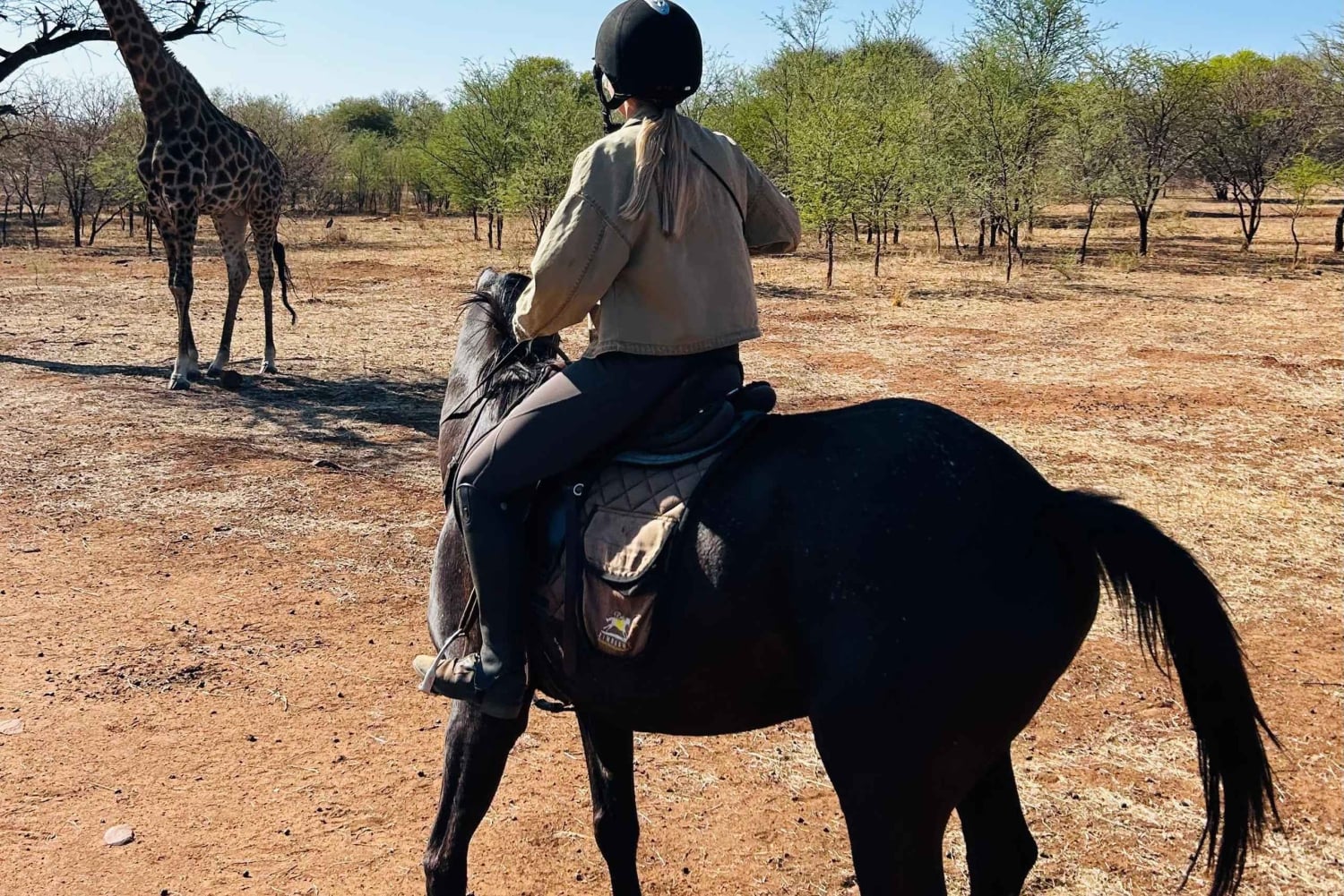 Zimbabwe: 5-dages hestesafari
