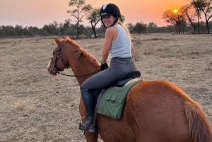 Zimbabwe: 5-Day Horseback Safari