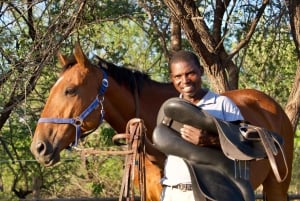 Zimbabwe: 5-Day Horseback Safari