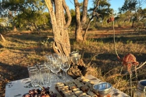 Zimbabwe: 5-Day Horseback Safari