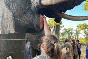 Zimbabwe: 5-Day Horseback Safari