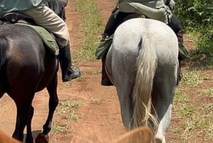 Zimbabwe: 5-Day Horseback Safari