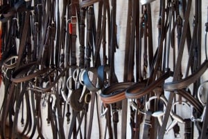 Zimbabwe: 5-Day Horseback Safari